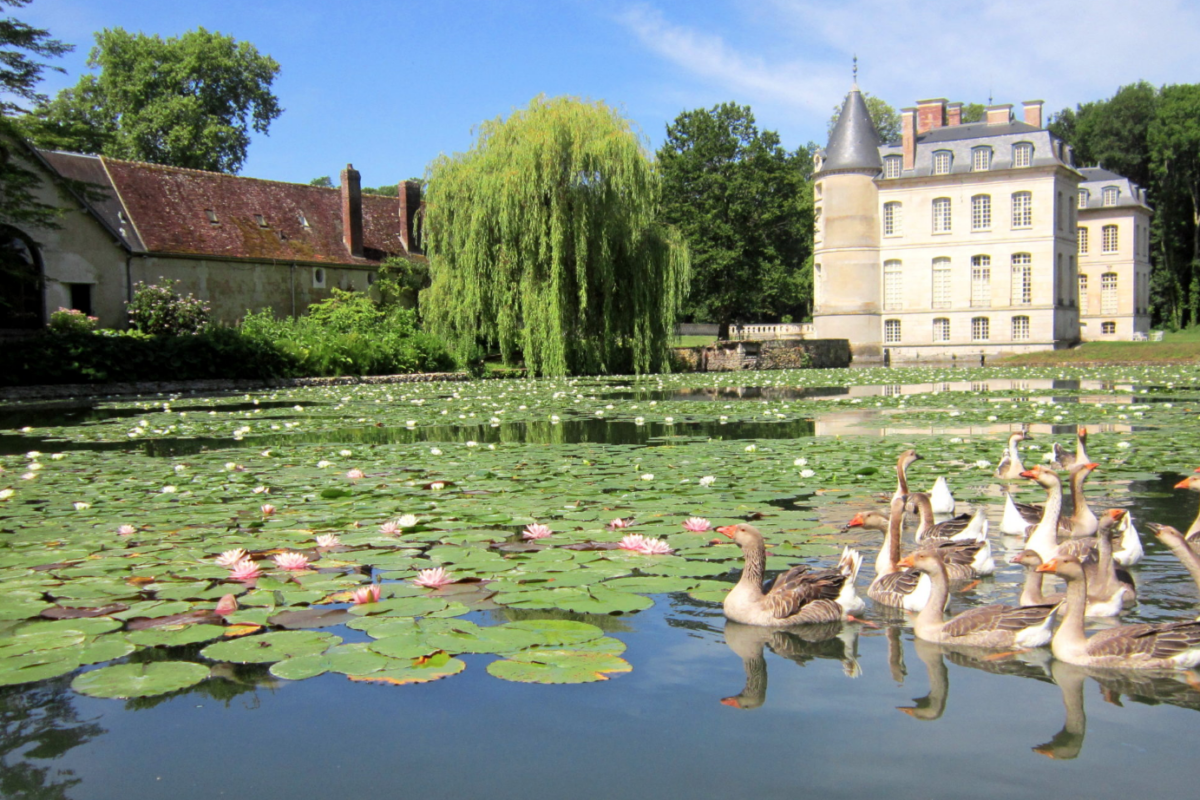 Capture d’écran 2026-02-10 à 15.18.31